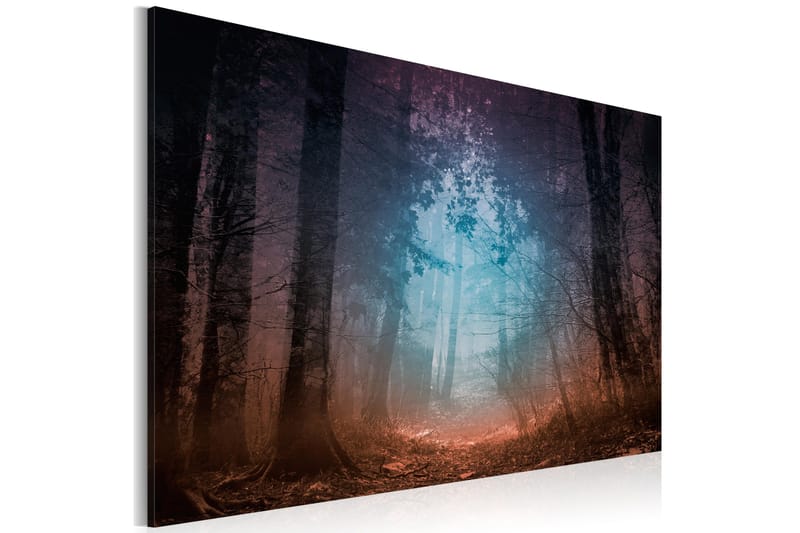Tavla Edge Of The Forest 90x60, Artgeist sp. z o. o.