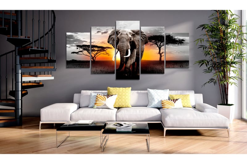 Tavla Elephant At Sunset 100x50 - Artgeist sp. z o. o. - Canvastavlor