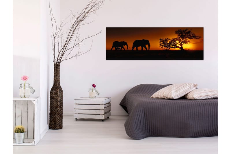 Tavla Elephant Family (Orange) 135x45, undefined