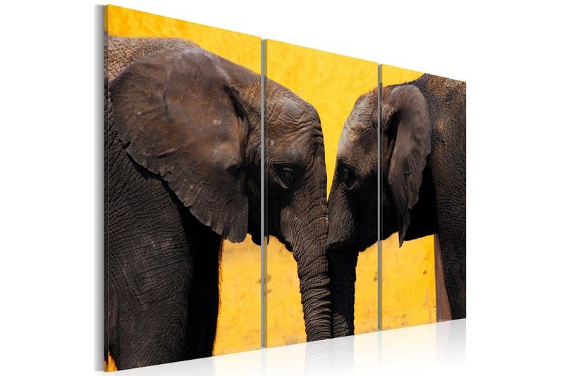 Tavla Elephant kiss 90x60, Artgeist sp. z o. o.
