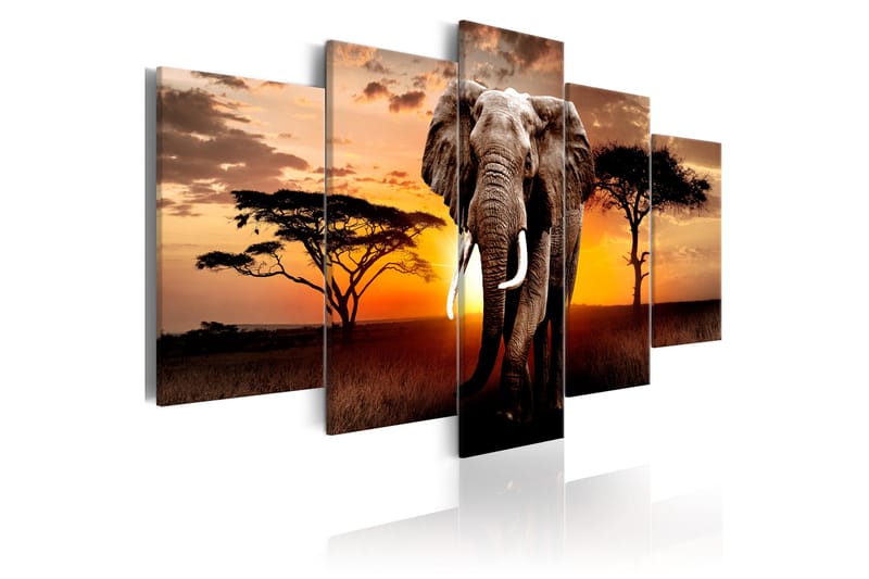 Tavla Elephant Migration 100x50 - Artgeist sp. z o. o. - Canvastavlor