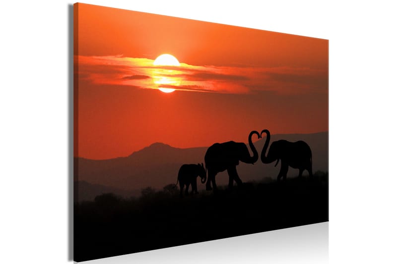 Tavla Elephants in Love (1 Part) Wide 120x80 - Artgeist sp. z o. o. - Inredning - Tavlor & konst - Canvastavlor