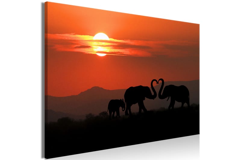 Tavla Elephants in Love (1 Part) Wide 60x40 - Artgeist sp. z o. o. - Inredning - Tavlor & konst - Canvastavlor