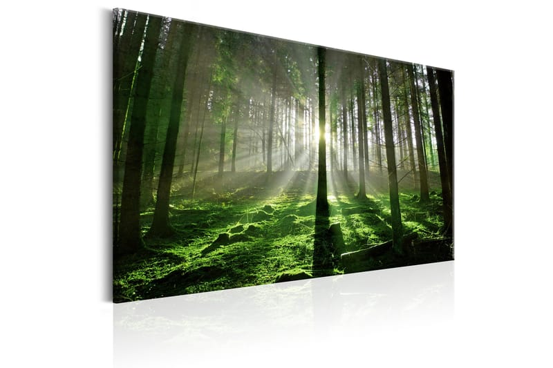 Tavla Emerald Forest II 120x80 - Artgeist sp. z o. o. - Inredning - Tavlor & konst - Canvastavlor