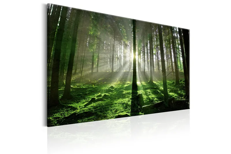 Tavla Emerald Forest II 120x80 - Artgeist sp. z o. o. - Inredning - Tavlor & konst - Canvastavlor