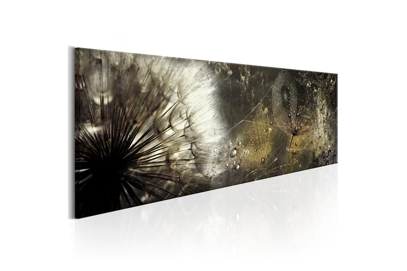 Tavla Enchanted Morning 120x40, Artgeist sp. z o. o.