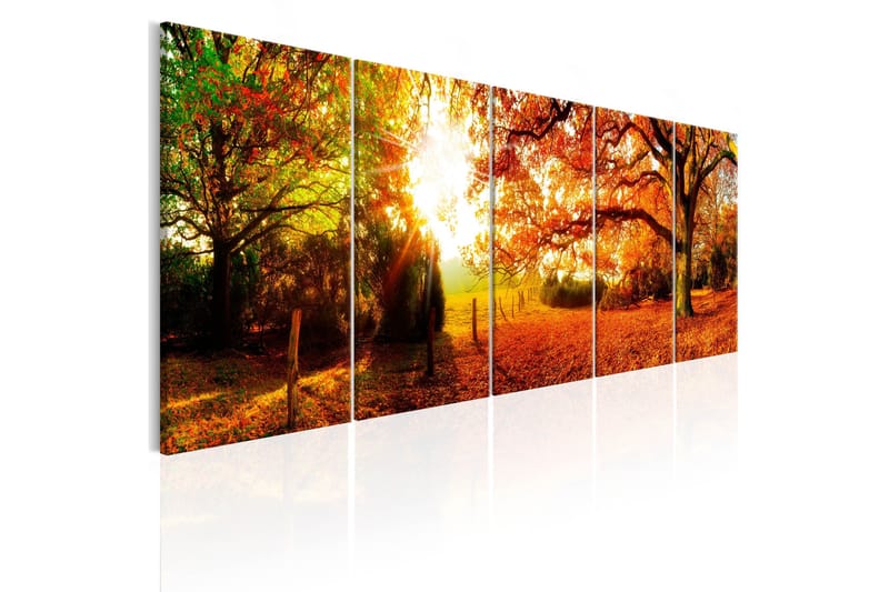 Tavla Enchanting Autumn 225x90, Artgeist sp. z o. o.
