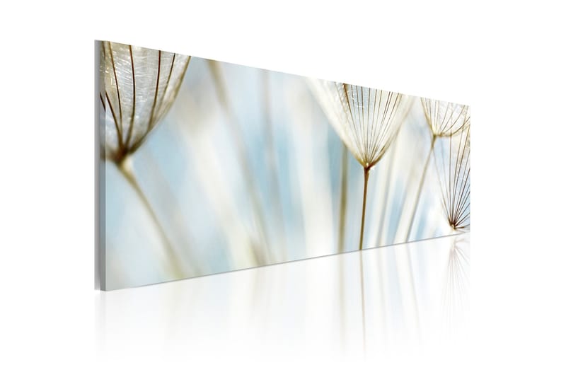 Tavla Ephemeral Moments 120x40, Artgeist sp. z o. o.