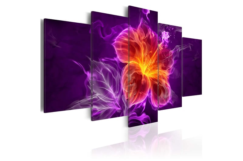 Tavla Esoteric Flower 100x50, Artgeist sp. z o. o.