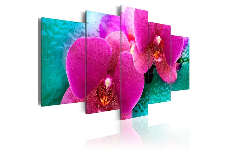 Tavla Exotic Orchids 100x50, Artgeist sp. z o. o.