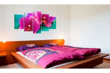 Tavla Exotic Orchids 100x50 - Artgeist sp. z o. o. - Inredning - Tavlor & konst - Canvastavlor