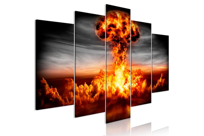 Tavla Explosion 5 Parts Wide 200x100, Artgeist sp. z o. o.