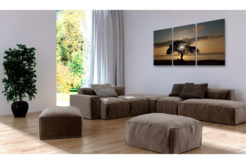 Tavla Extraordinary Nature 120x60 - Artgeist sp. z o. o. - Inredning - Tavlor & konst - Canvastavlor