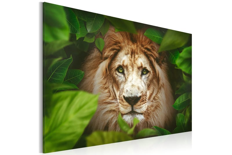Tavla Eyes of the jungle 120x80, Artgeist sp. z o. o.
