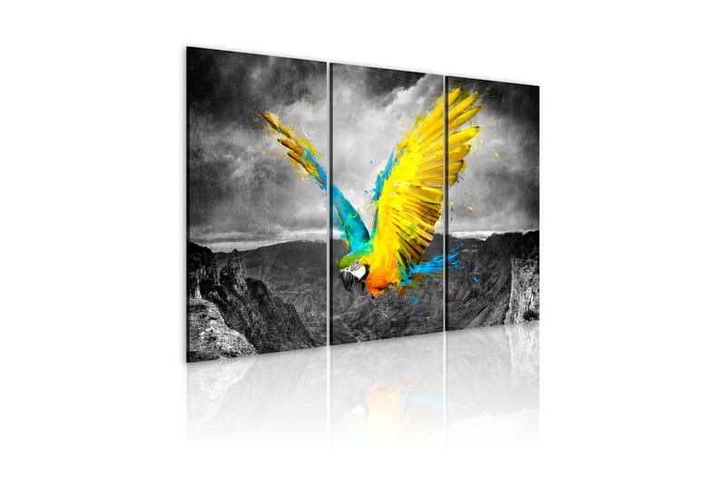 Tavla Fågel-Av-Paradis 120x80 - Artgeist sp. z o. o. - Inredning - Tavlor & konst - Canvastavlor