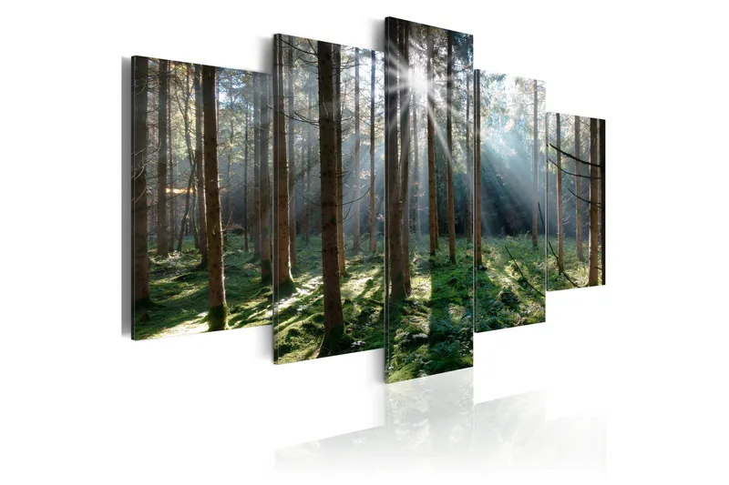 Tavla Fairytale Forest 200x100, Artgeist sp. z o. o.