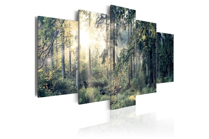 Tavla Fairytale Landscape 100x50, Artgeist sp. z o. o.