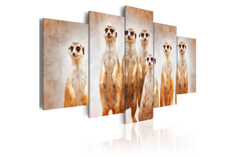 Tavla Family Of Meerkats 100x50 - Artgeist sp. z o. o. - Inredning - Tavlor & konst - Canvastavlor