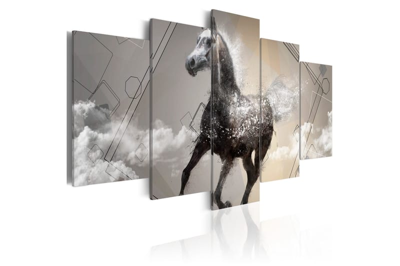 Tavla Fancy Gallop 5 Pieces 200x100, Artgeist sp. z o. o.