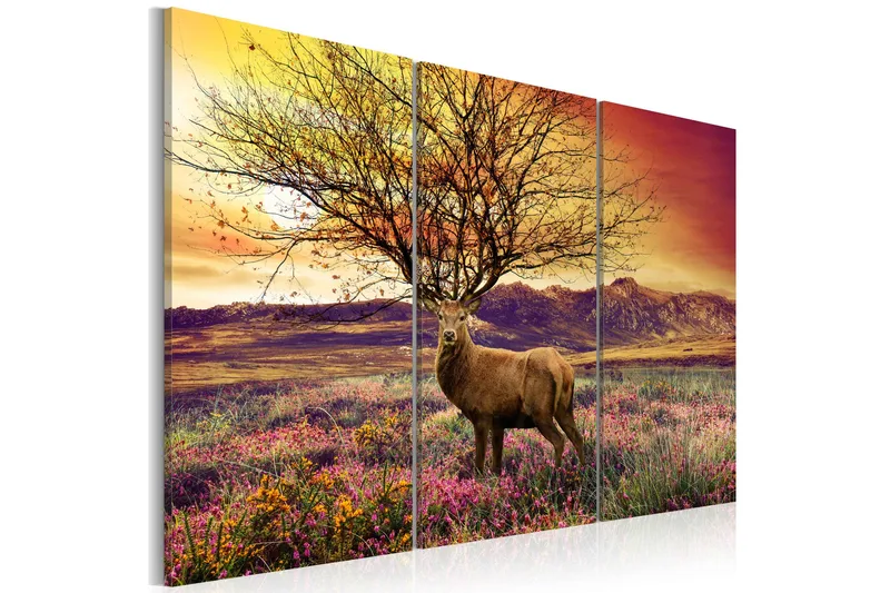 Tavla Fancy Hjorthorn Triptych 60x40, Artgeist sp. z o. o.