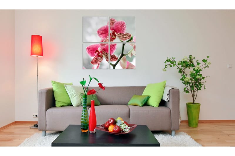 Tavla Fancy Orkidé 80x80 - Artgeist sp. z o. o. - Inredning - Tavlor & konst - Canvastavlor