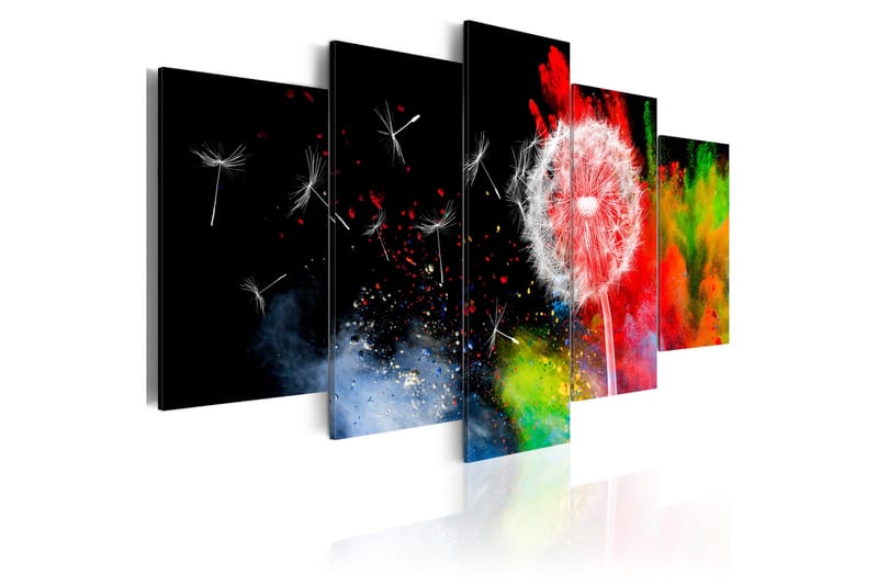 Tavla Festival Of Colours 100x50, Artgeist sp. z o. o.