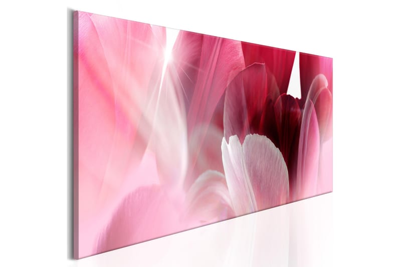 Tavla Flowers Pink Tulips 120x40 - Artgeist sp. z o. o. - Canvastavlor