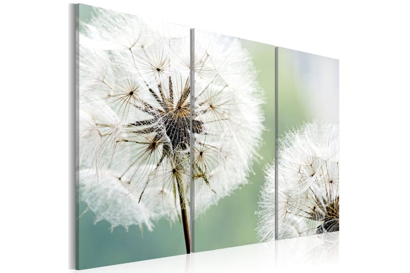 Tavla Fluffy dandelions 90x60, Artgeist sp. z o. o.