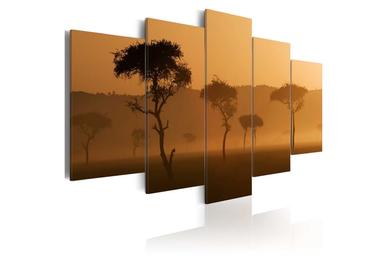 Tavla Fog Over A Savannah 100x50, Artgeist sp. z o. o.