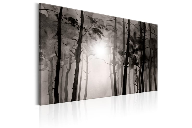 Tavla Foggy Forest 120x80 - Artgeist sp. z o. o. - Inredning - Tavlor & konst - Canvastavlor