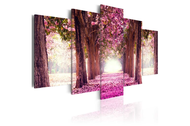 Tavla Follow The Beauty 100x50, Artgeist sp. z o. o.