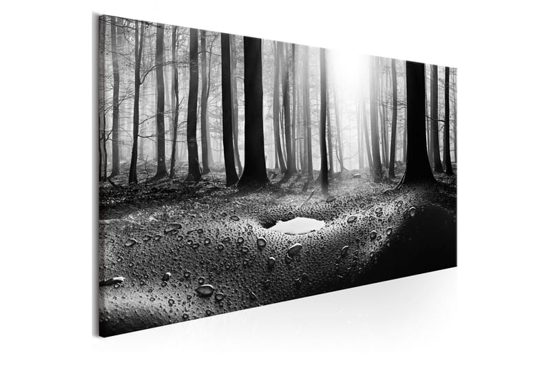 Tavla Forest after Rain (1 Part) Narrow 120x40 - Inredning - Tavlor & konst - Canvastavlor