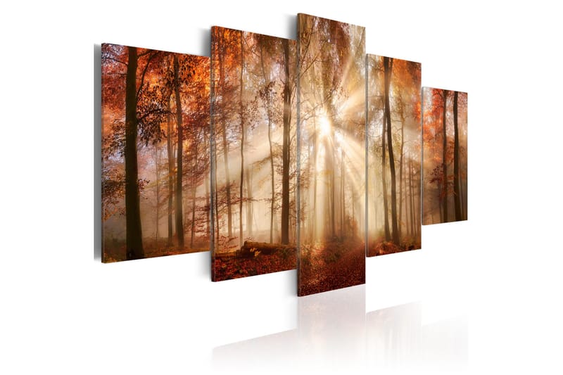 Tavla Forest Fog 200x100 - Artgeist sp. z o. o. - Inredning - Tavlor & konst - Canvastavlor