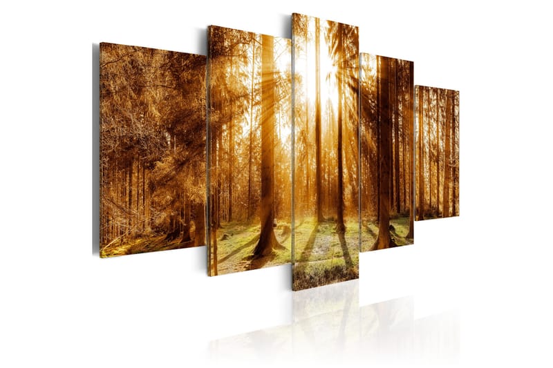 Tavla Forest Illumination 200x100 - Artgeist sp. z o. o. - Inredning - Tavlor & konst - Canvastavlor