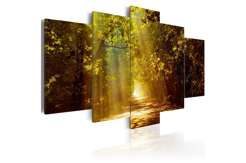 Tavla Forest In The Sunlight 100x50, Artgeist sp. z o. o.