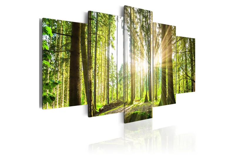 Tavla Forest Kingdom 100x50, Artgeist sp. z o. o.
