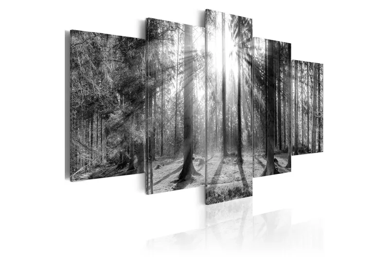 Tavla Forest Of Memories 100x50, Artgeist sp. z o. o.