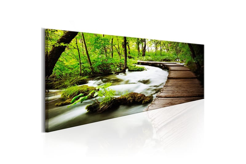 Tavla Forest Song 135x45 - Artgeist sp. z o. o. - Inredning - Tavlor & konst - Canvastavlor