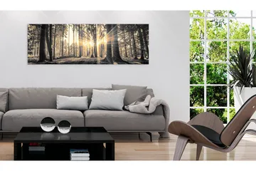 Tavla Forest Sun 150x50 - Artgeist sp. z o. o. - Inredning - Tavlor & konst - Canvastavlor