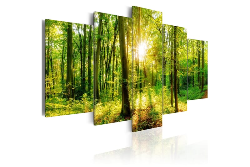 Tavla Forest Tale 200x100, Artgeist sp. z o. o.