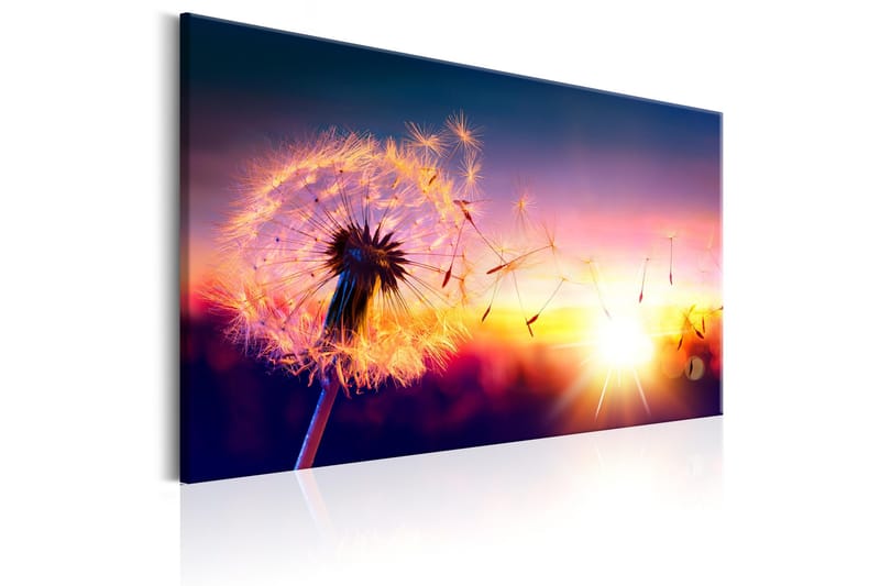 Tavla Freedom of Nature 90x60 - Artgeist sp. z o. o. - Inredning - Tavlor & konst - Canvastavlor