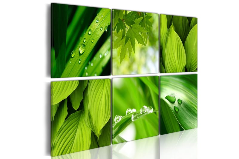 Tavla Fresh Green Leaves 120x80, Artgeist sp. z o. o.