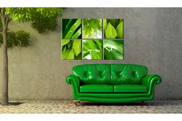 Tavla Fresh Green Leaves 60x40 - Artgeist sp. z o. o. - Inredning - Tavlor & konst - Canvastavlor