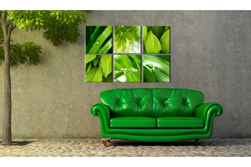 Tavla Fresh Green Leaves 60x40 - Artgeist sp. z o. o. - Inredning - Tavlor & konst - Canvastavlor