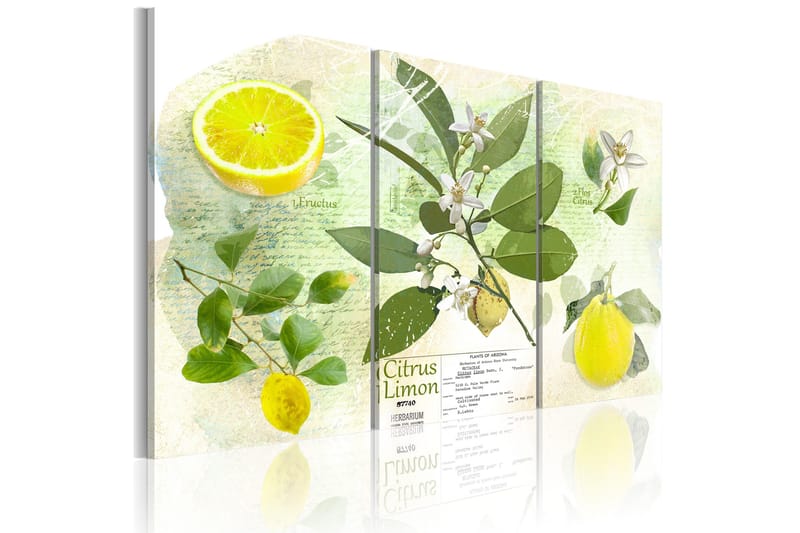 Tavla Fruit: lemon 90x60, Artgeist sp. z o. o.