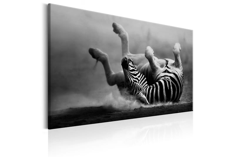 Tavla Fun in the Dust 60x40 - Artgeist sp. z o. o. - Inredning - Tavlor & konst - Canvastavlor