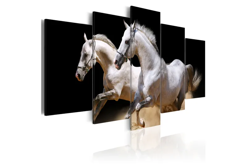 Tavla Gallop- Freedom And Power 100x50, Artgeist sp. z o. o.