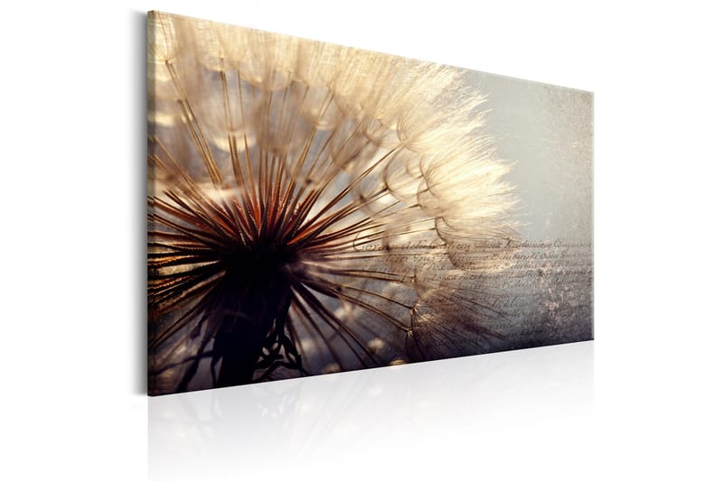 Tavla Gentleness of Summer 120x80 - Artgeist sp. z o. o. - Inredning - Tavlor & konst - Canvastavlor