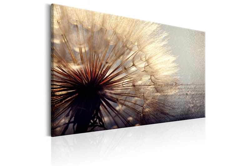 Tavla Gentleness of Summer 120x80 - Artgeist sp. z o. o. - Inredning - Tavlor & konst - Canvastavlor