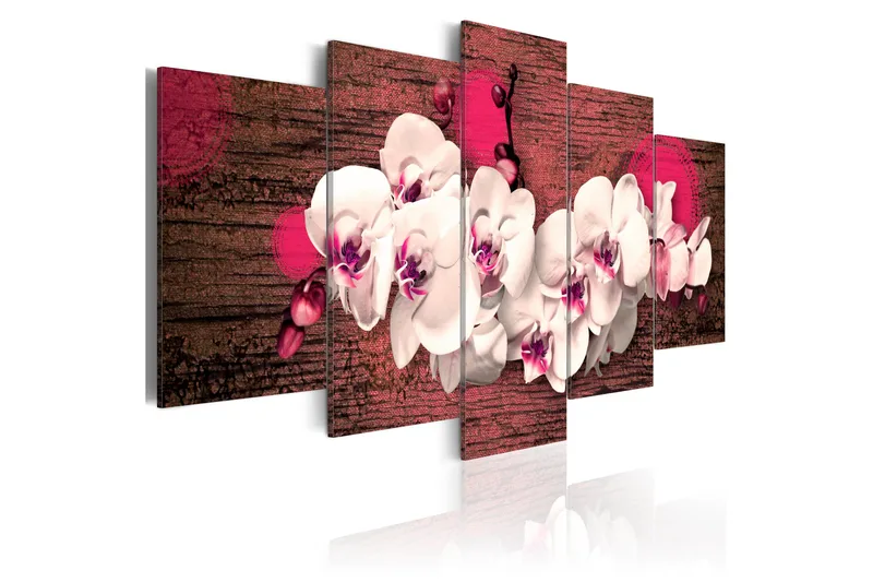 Tavla Glädje Och Orkidé 100x50 - Artgeist sp. z o. o. - Inredning - Tavlor & konst - Canvastavlor